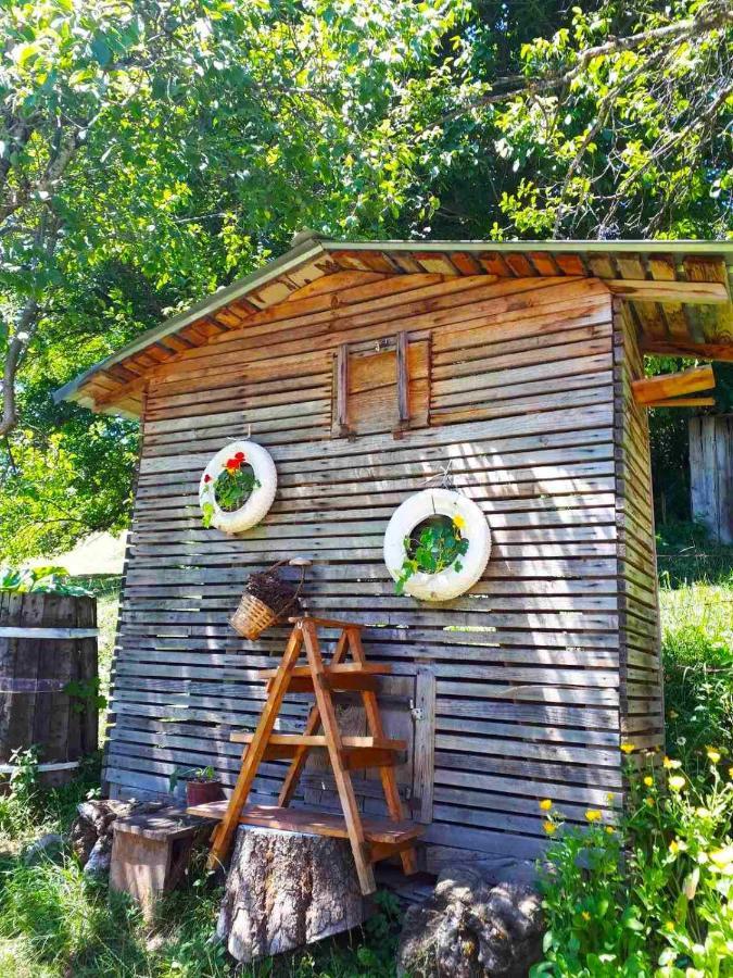 Household Babovic - Old House Miljan'S Valley Andrijevica Bagian luar foto