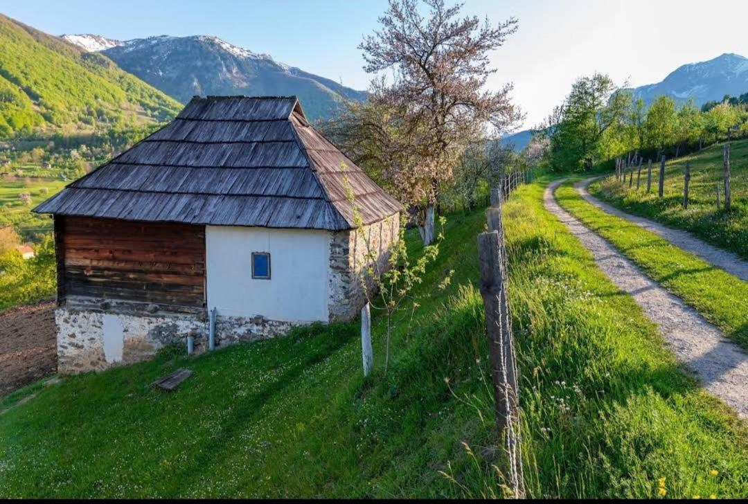 Household Babovic - Old House Miljan'S Valley Andrijevica Bagian luar foto