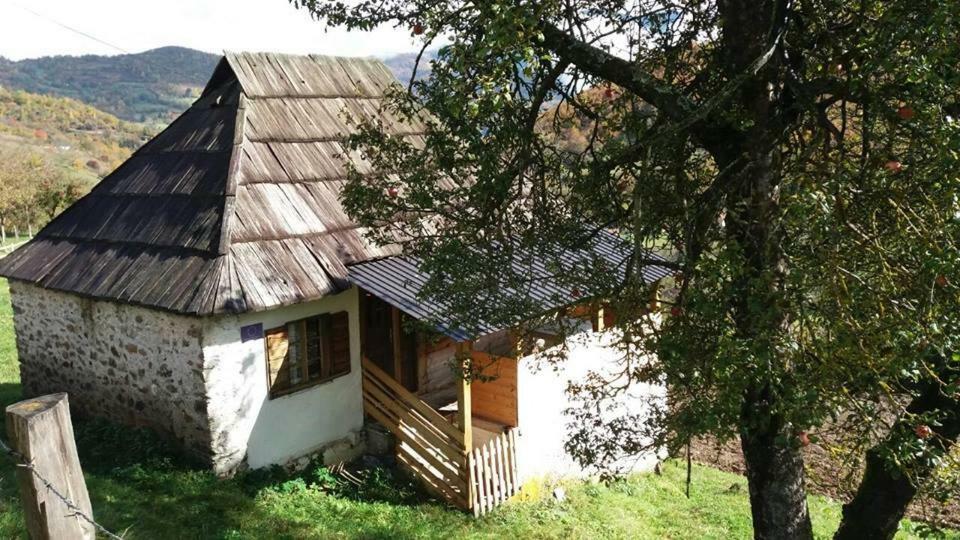 Household Babovic - Old House Miljan'S Valley Andrijevica Bagian luar foto